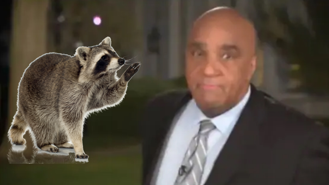CNN's Joe Johns Showed some White House Raccoons that he is not one to be trifled with!