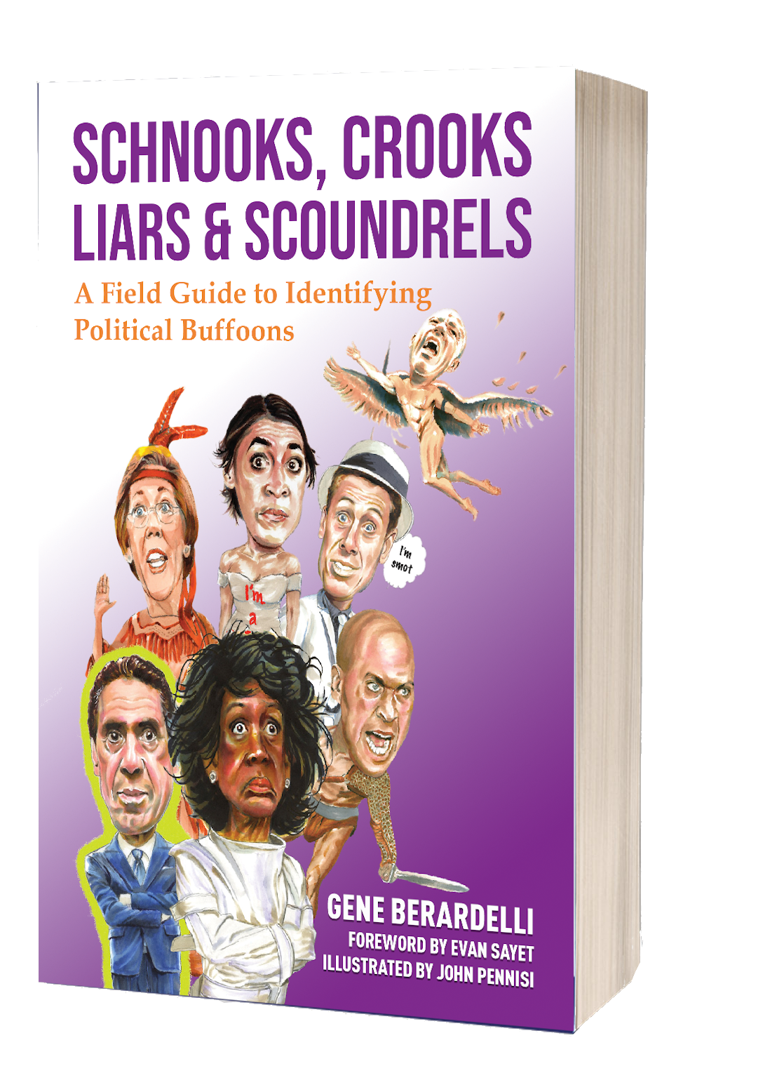 Schnooks, Crooks, Liars & Scoundrels